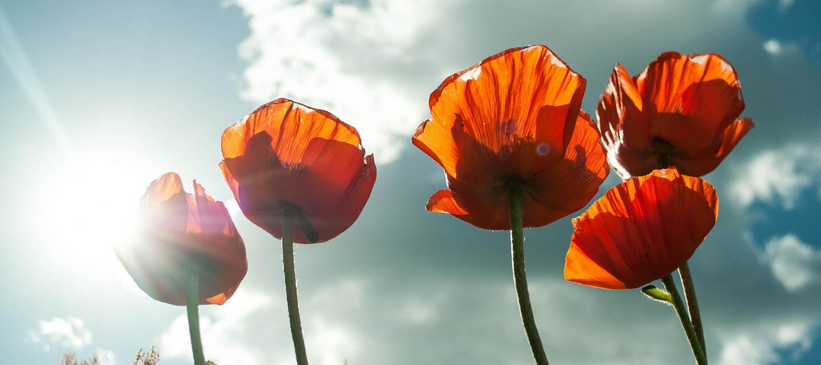 Bientôt les vacances ! Bientôt les vacances !